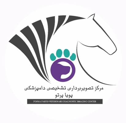 تصویربرداری پویا پرتو